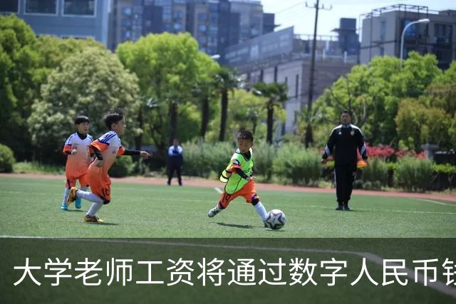 大学老师工资将通过数字人民币钱包发放，江苏多所高校收到通知