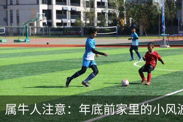 属牛人注意：年底前家里的小风波，其实是亲家关系升温的好兆头