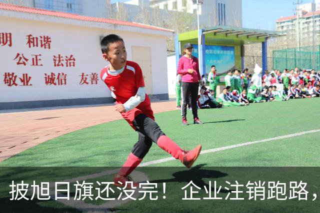 披旭日旗还没完！企业注销跑路，又揪出5个喊“一起披”的