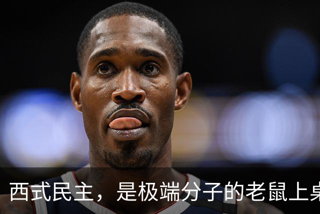 西式民主，是极端分子的老鼠上桌